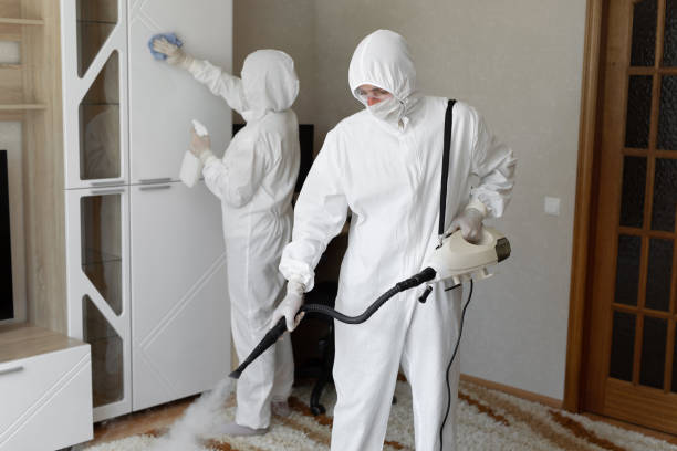 Affordable Sewage Cleanup solutions in North Palm Springs, CA