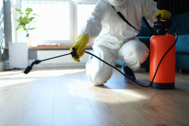 Reliable Sewage Cleanup contractor in North Palm Springs, CA by Trauma Clean Pros